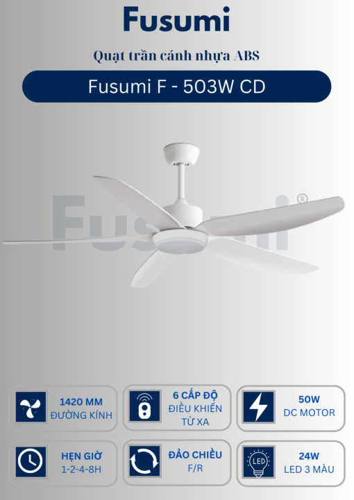 503W CD
