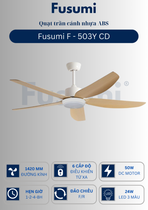 503Y CD